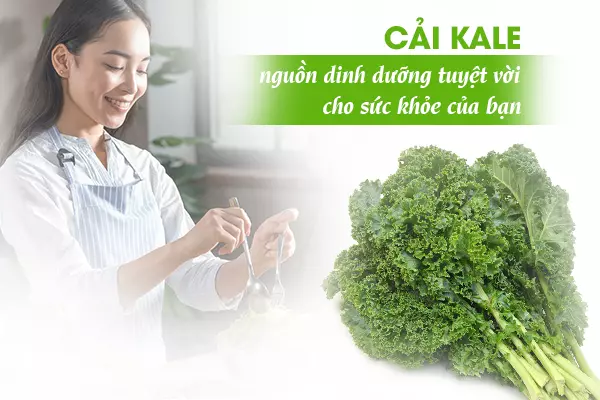 Cải kale - Nguồn dinh dưỡng tuyệt vời cho sức khỏe của bạn