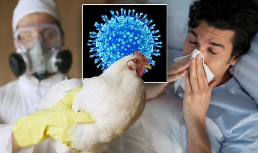 Cẩn trọng nguy cơ mắc cúm A H5N1 dịp cuối năm.