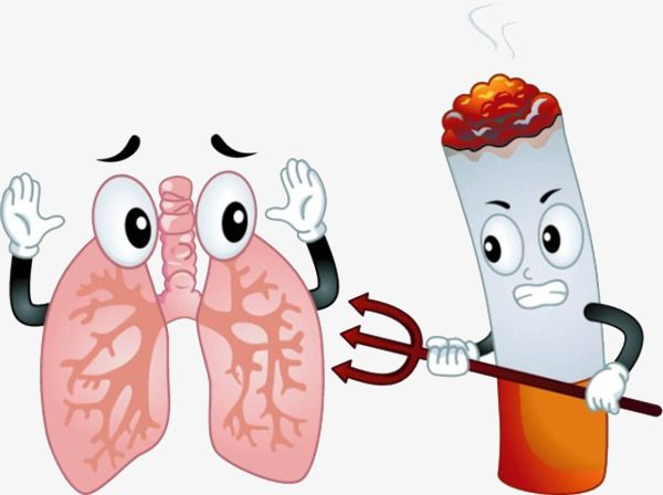 Nên ngừng hút thuốc để tránh làm tổn thương thêm phổi khi mắc COPD.