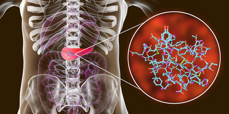 Insulin là hormone quan trọng giúp cân bằng glucose máu.