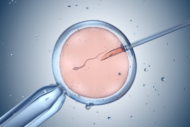 Kỹ thuật thụ tinh ống nghiệm được chỉ định cho người suy buồng trứng sớm