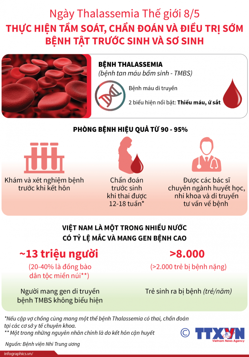 Thông tin về bệnh Thalassemia.
