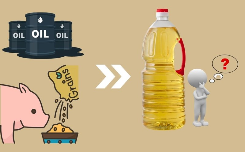 Dầu ăn chăn nuôi – Từ chất thải đến bữa ăn?