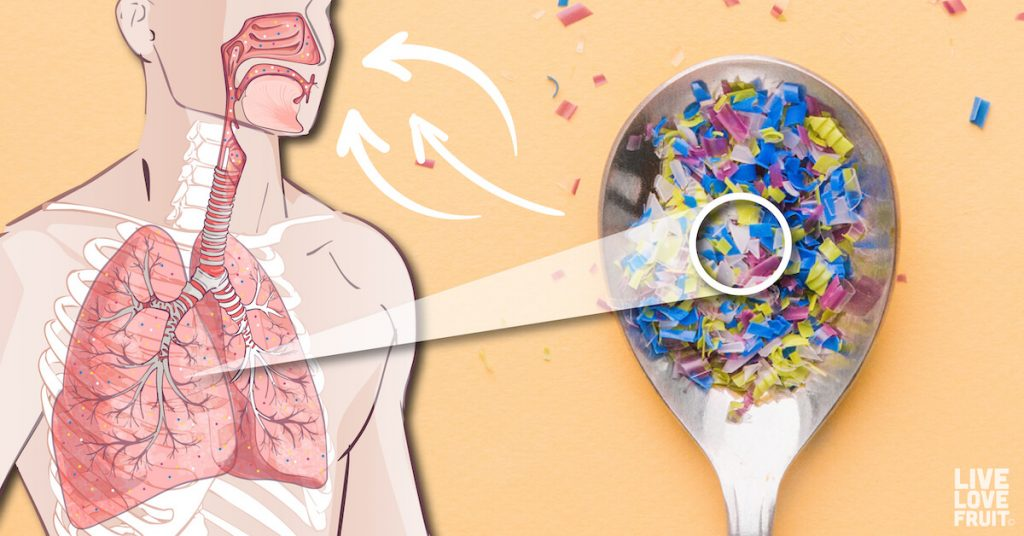 Vi nhựa đi sâu vào phế nang và ảnh hưởng đến hệ hô hấp.